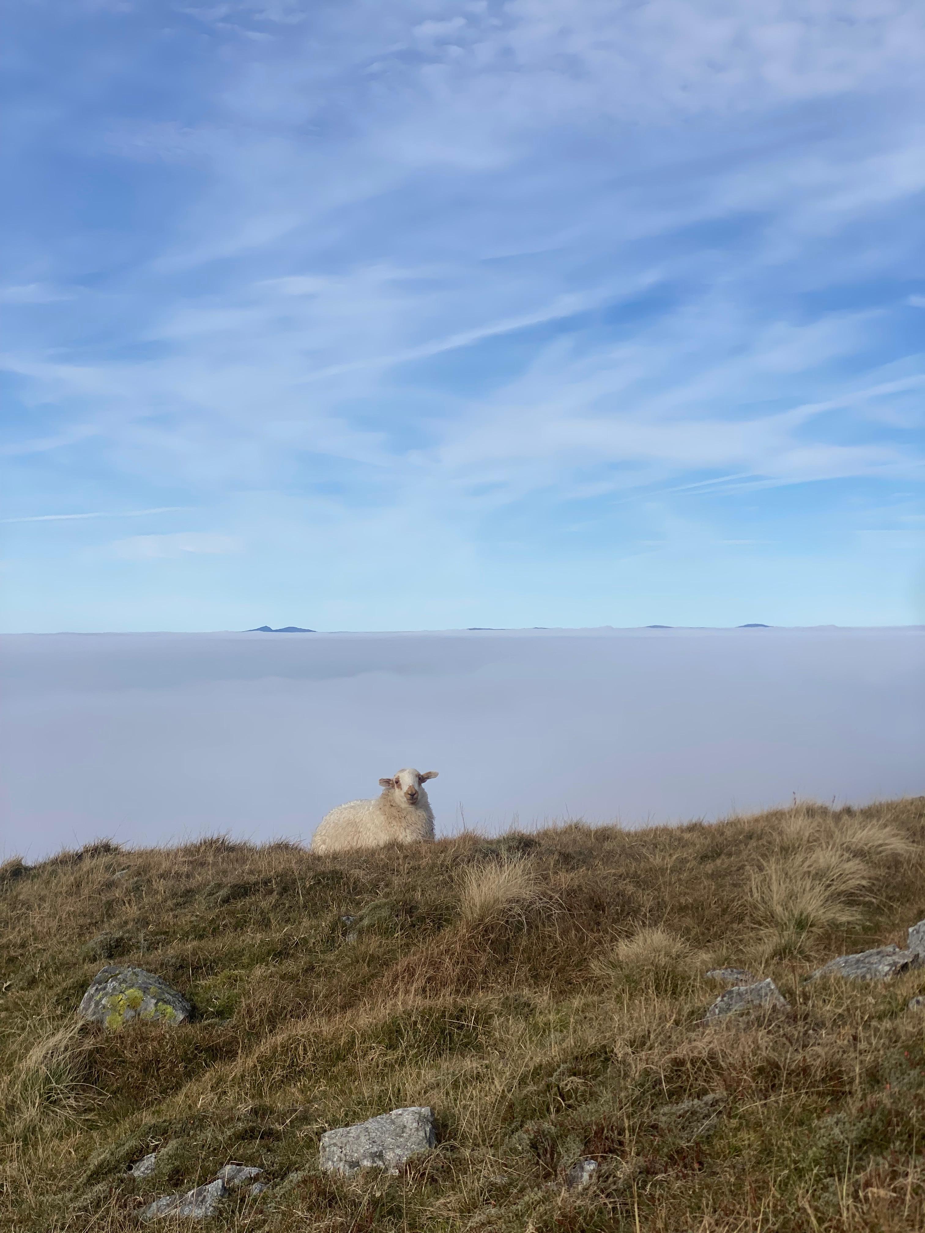 Wales