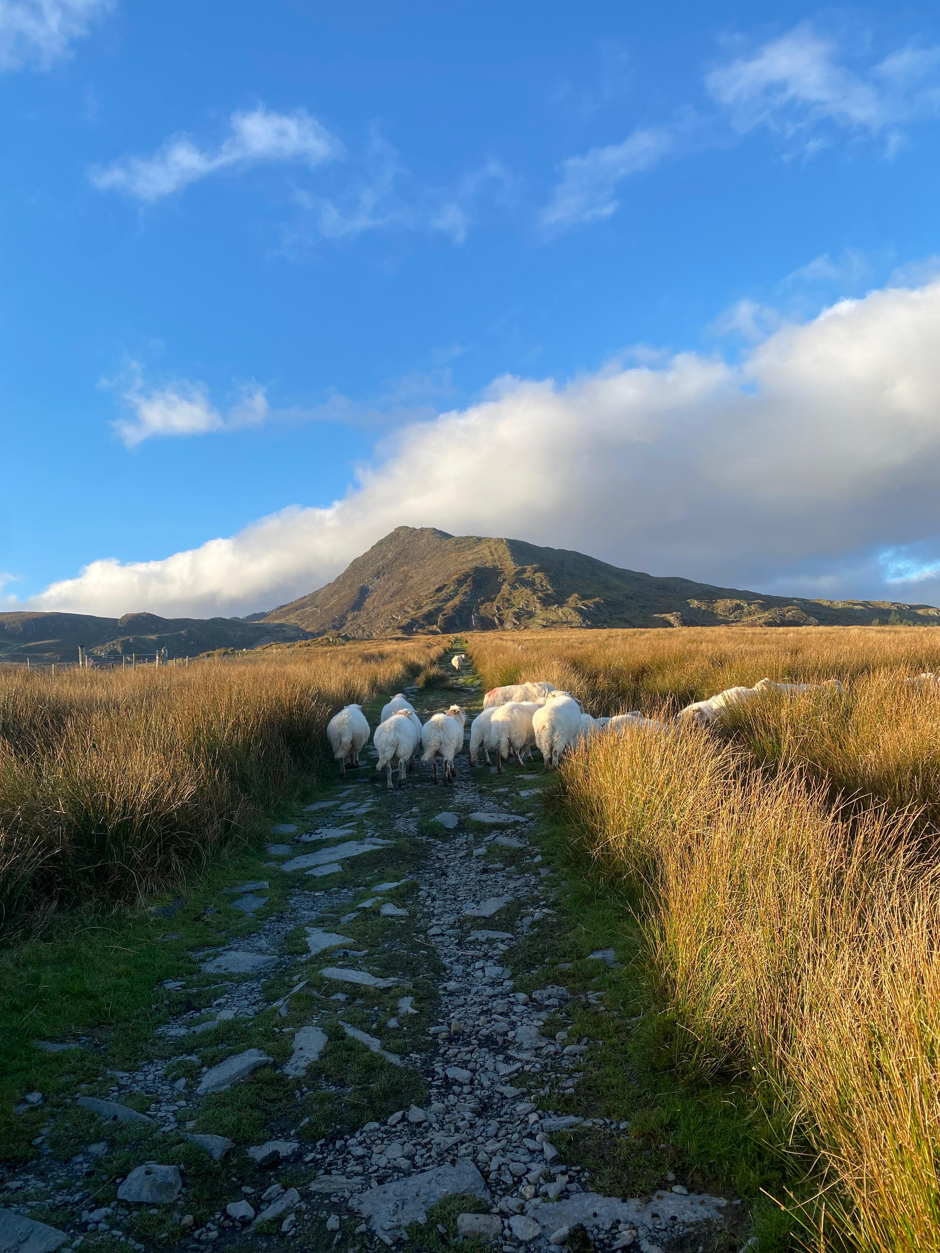 Wales