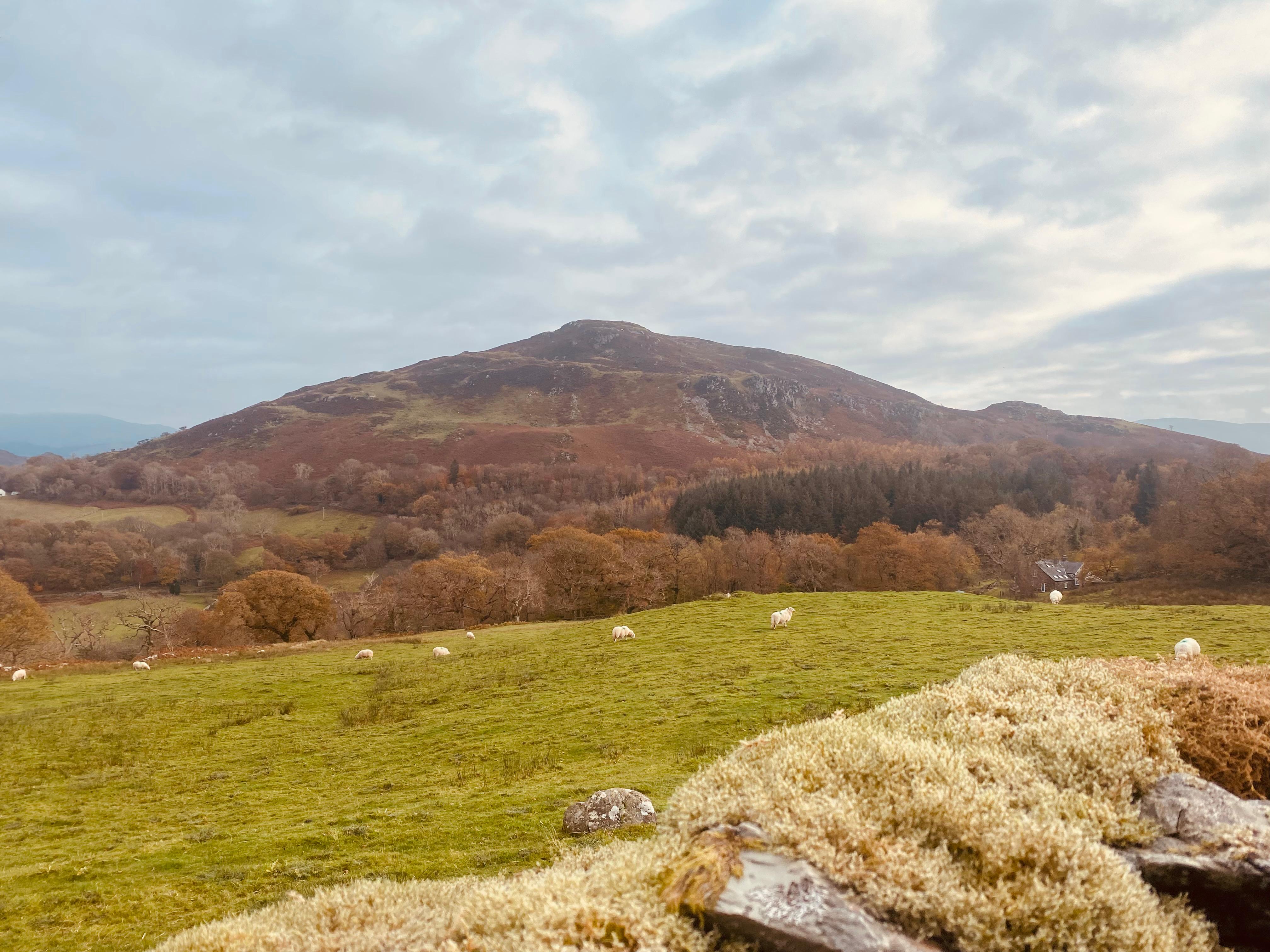 Wales