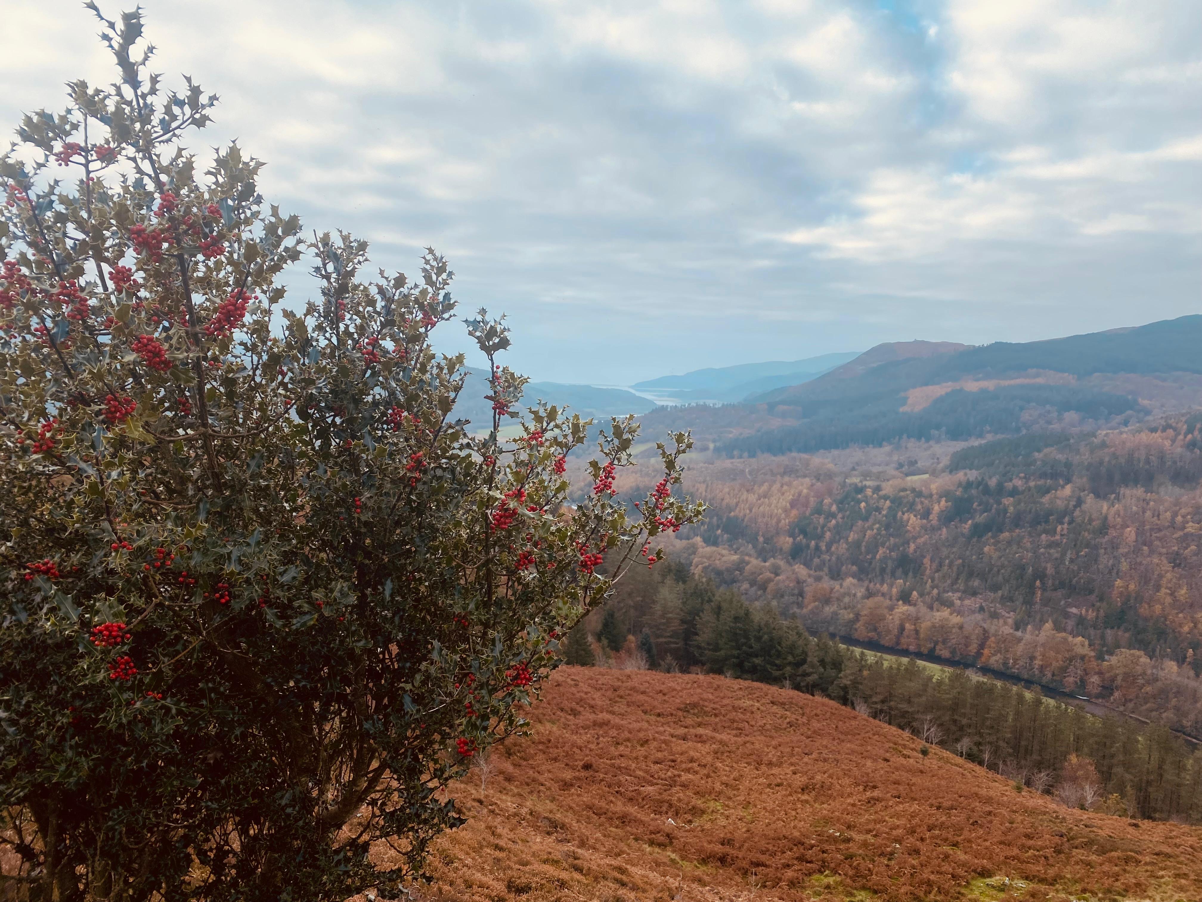 Wales