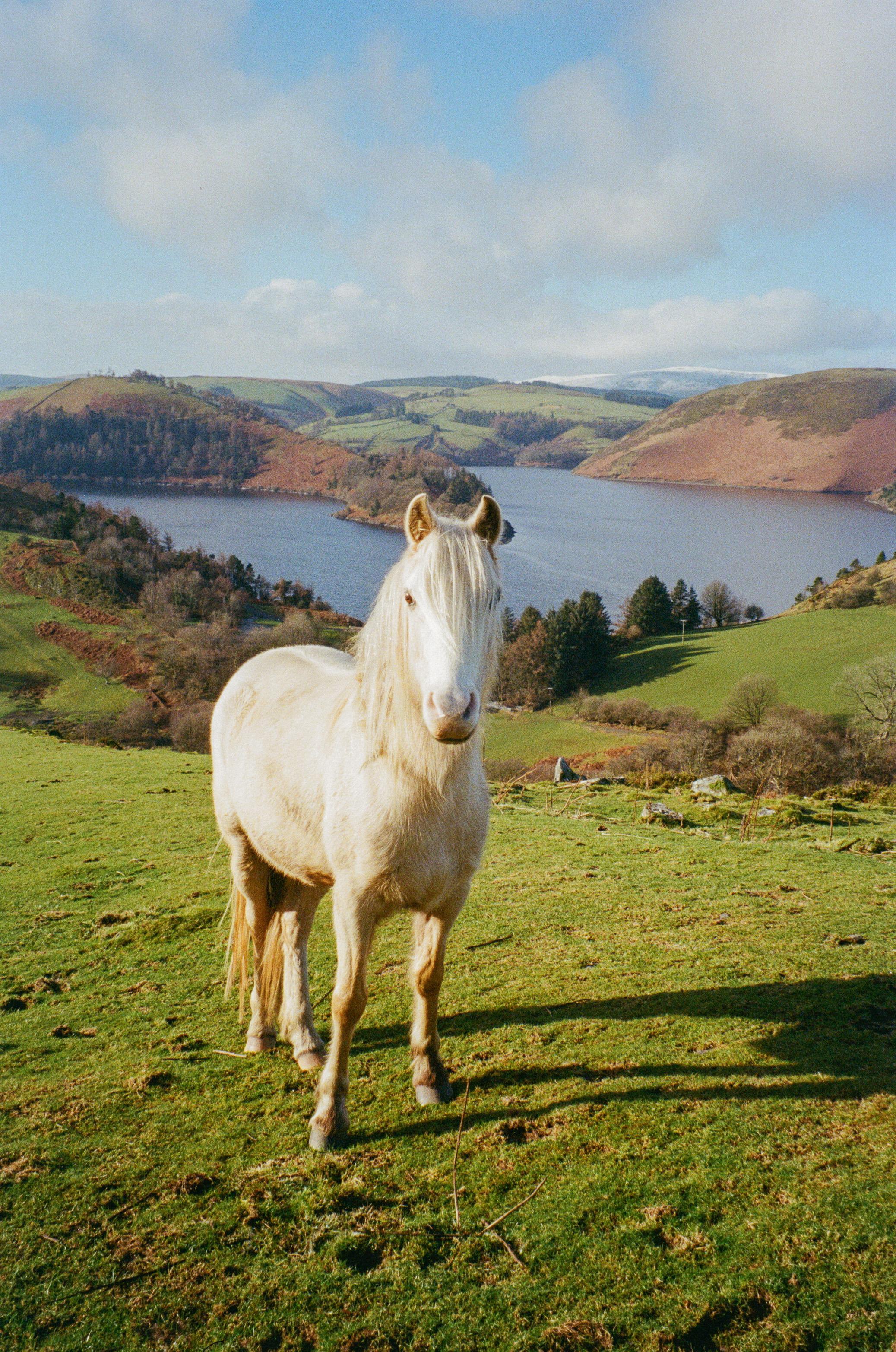Wales