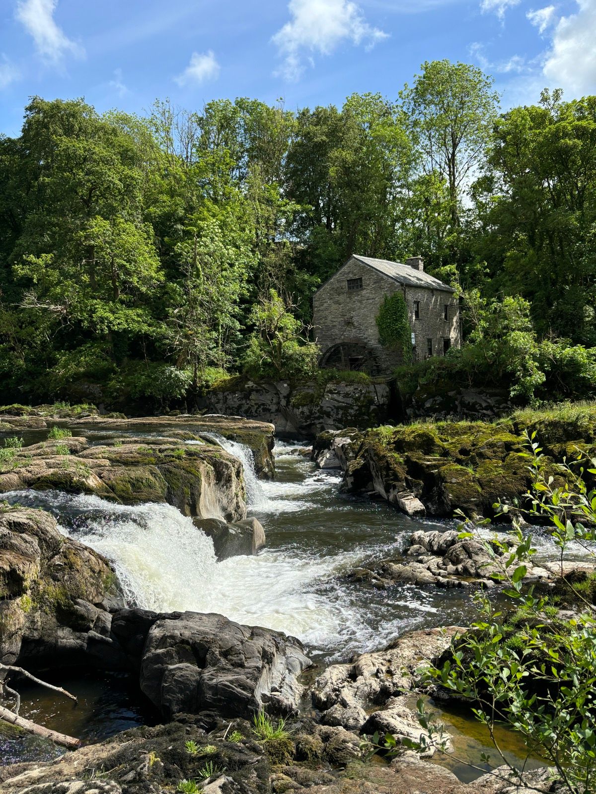 The Teifi Valley Trail